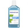 Pack de 4 - Vademecum- Bain de bouche - Fraîcheur intense -  500 ml