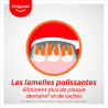 Pack de 12 - Colgate - Brosse à dents 360° Souple