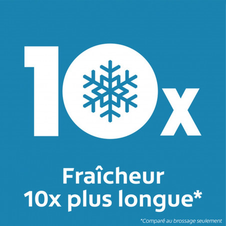 Pack de 12 - Bain de bouche sans alcool Colgate Plax Ice Splash Fraîcheur - 500ml