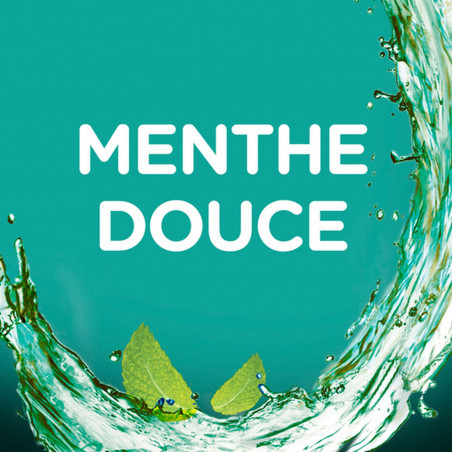 Pack de 12 - Bain de bouche sans alcool Colgate Plax Menthe douce - 500ml
