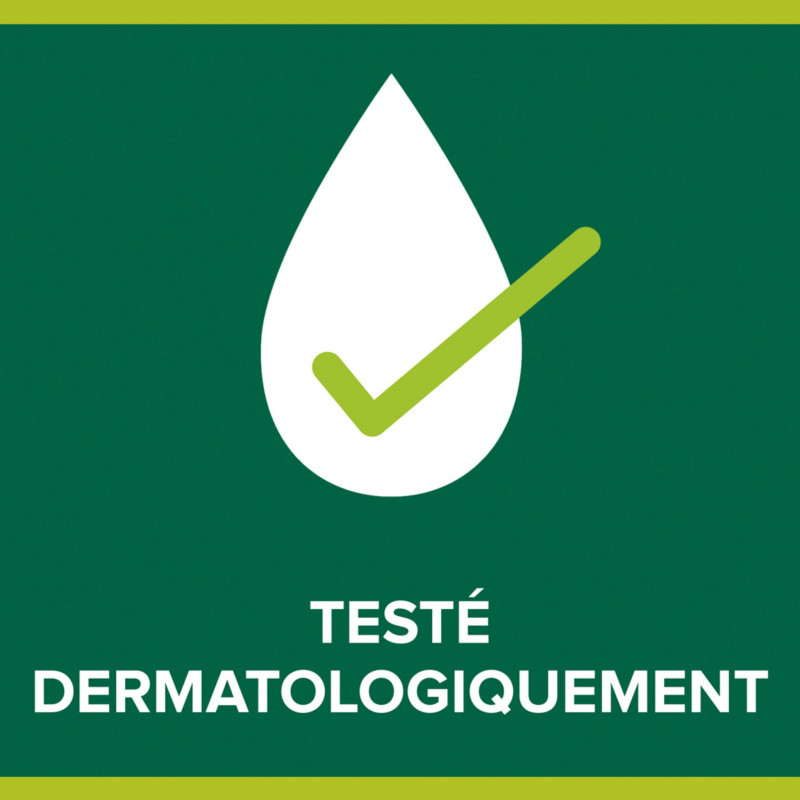 Pack de 12 - Savon Liquide Mains Palmolive Hygiène Plus Antibactérien pompe - 300ml