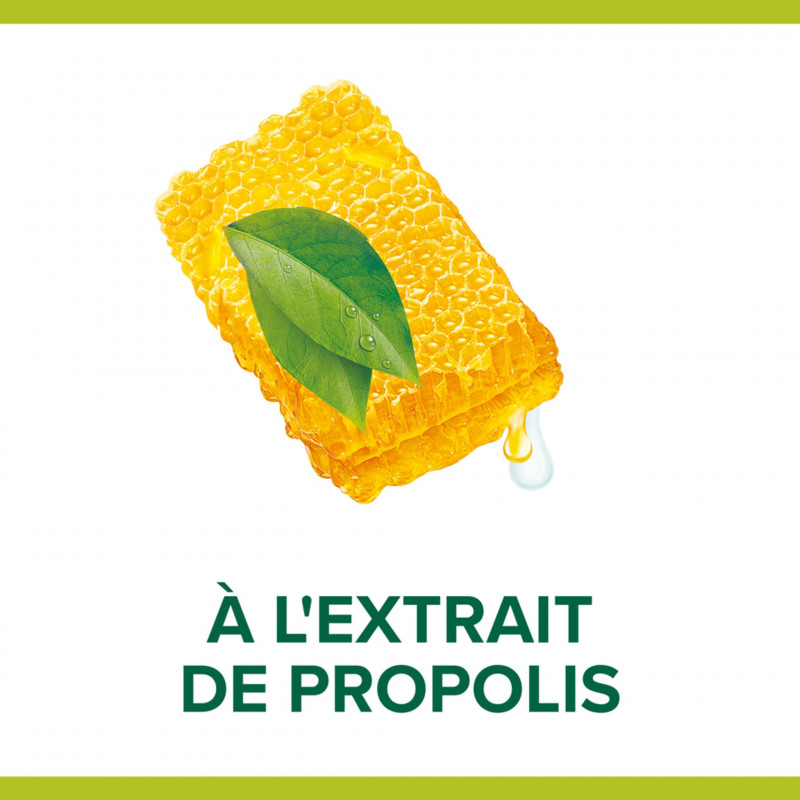 Pack de 12 - Savon Liquide Mains Palmolive Hygiène Plus Antibactérien pompe - 300ml