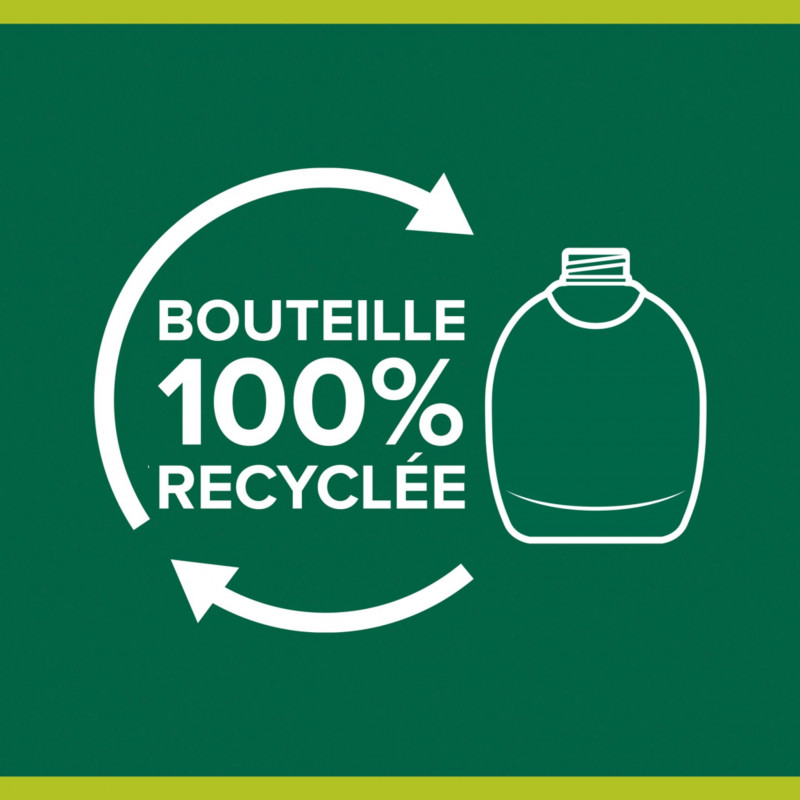 Pack de 12 - Savon liquide Mains Palmolive Aquarium pompe - 300 ml