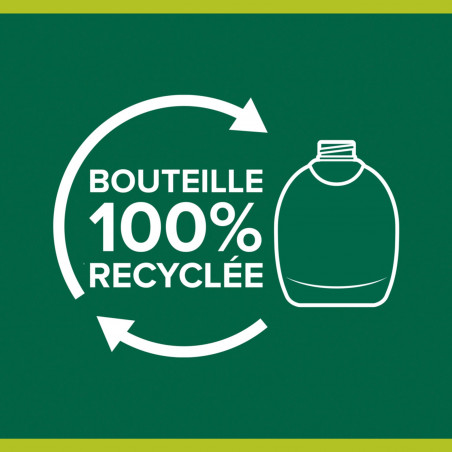 Pack de 12 - Savon liquide Mains Palmolive Aquarium pompe - 300 ml