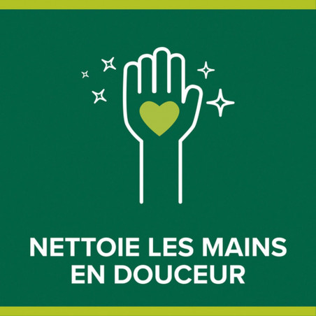 Pack de 12 - Savon liquide Mains Palmolive Pouss' Mouss Citron pompe - 250ml Pack de 12 - Savon liquide Mains Palmolive Pouss' Mouss Citron pompe - 250ml