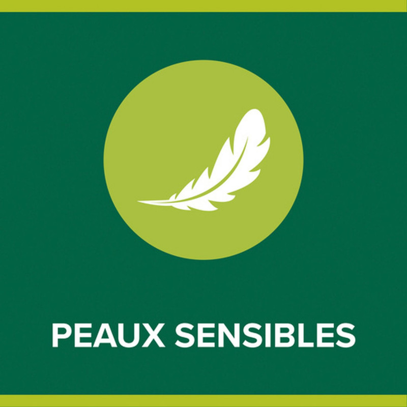 Pack de 12 - Savon liquide Mains Palmolive Pouss' Mouss Citron pompe - 250ml