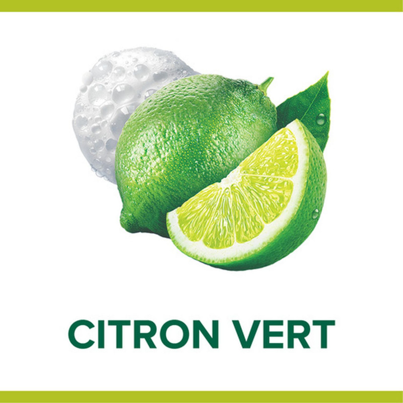 Pack de 12 - Savon liquide Mains Palmolive Pouss' Mouss Citron pompe - 250ml