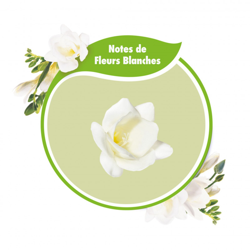 Pack de 12 - Adoucissant concentré Soupline Douceur végétale Notes de Fleurs blanches 52 lavages - 1,3L
