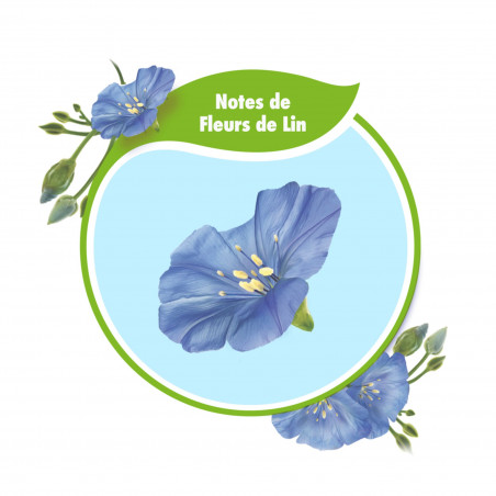 Pack de 12 - Adoucissant Soupline Douceur végétale  Notes de Fleurs de Lin 52 lavages - 1,3L