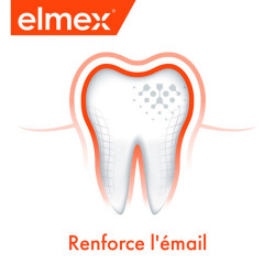 Pack de 24 - Elmex - Dentifrice elmex® Anti-Caries - 75 ml