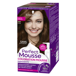 Perfect Mousse - Coloration Permanente - Noisette 668