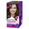 Perfect Mousse - Coloration Permanente - Noisette 668