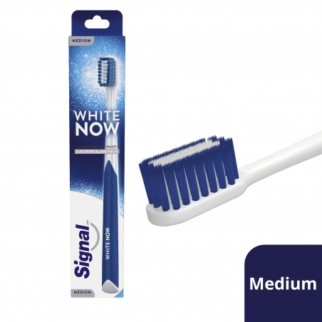 SIGNAL White Now Brosse à Dents Medium