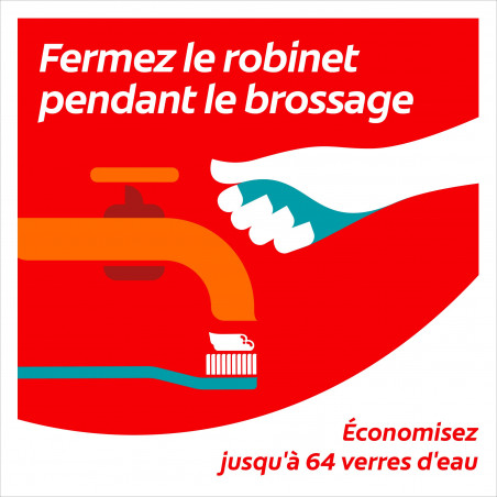 Pack de 12 - Colgate - Brosse à dents 360° Medium