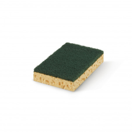 Pack de 16 - Spontex - 2 Gratte-Eponge Tradition