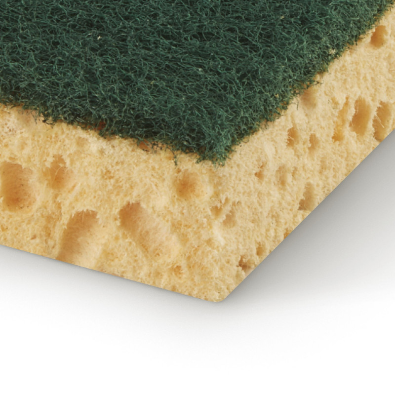 Pack de 16 - Spontex - 2 Gratte-Eponge Tradition