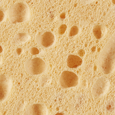 Spontex - 2 Gratte-Eponge Tradition