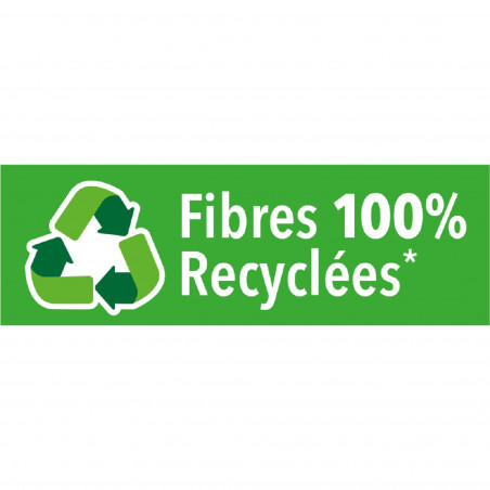 Spontex - 2 Eponges grattantes sans colorant