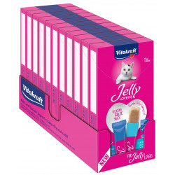 Vitakraft Jelly Lovers Snack pour Chat en Gelée au Poisson - Lot de 11 boîtes de 6 sachets de 15g
