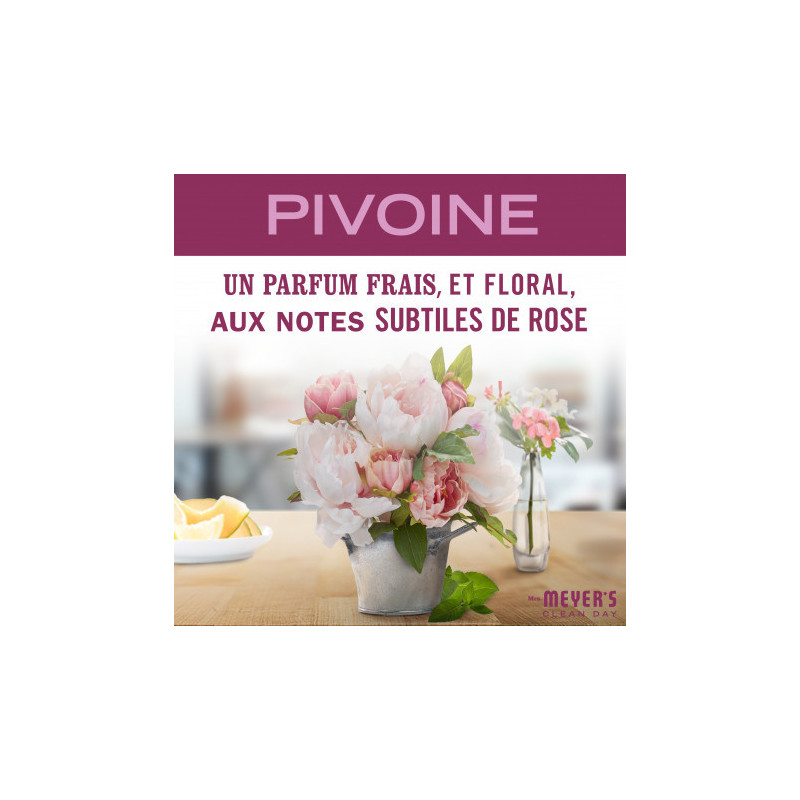 Mrs Meyer'S Clean Day Nettoyant Multi Surface Concentre Parfum Pivoine 946 Ml