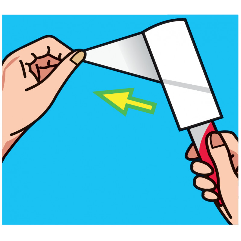 Vileda - Pack de 3 - Brosses adhésives recharge 2x29 feuilles