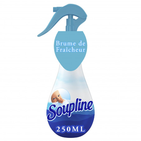 SOUP BRUME GR AIR 1X6X250ML