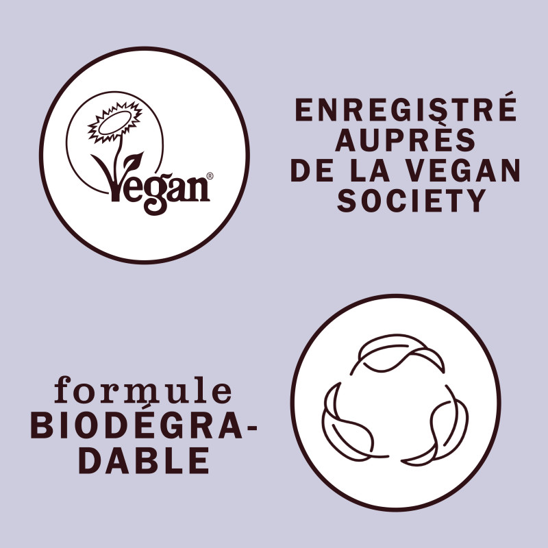 Mrs Meyer's - Pack de 6 Nettoyant Multi Surface Concentre Parfum Lavande 946 Ml