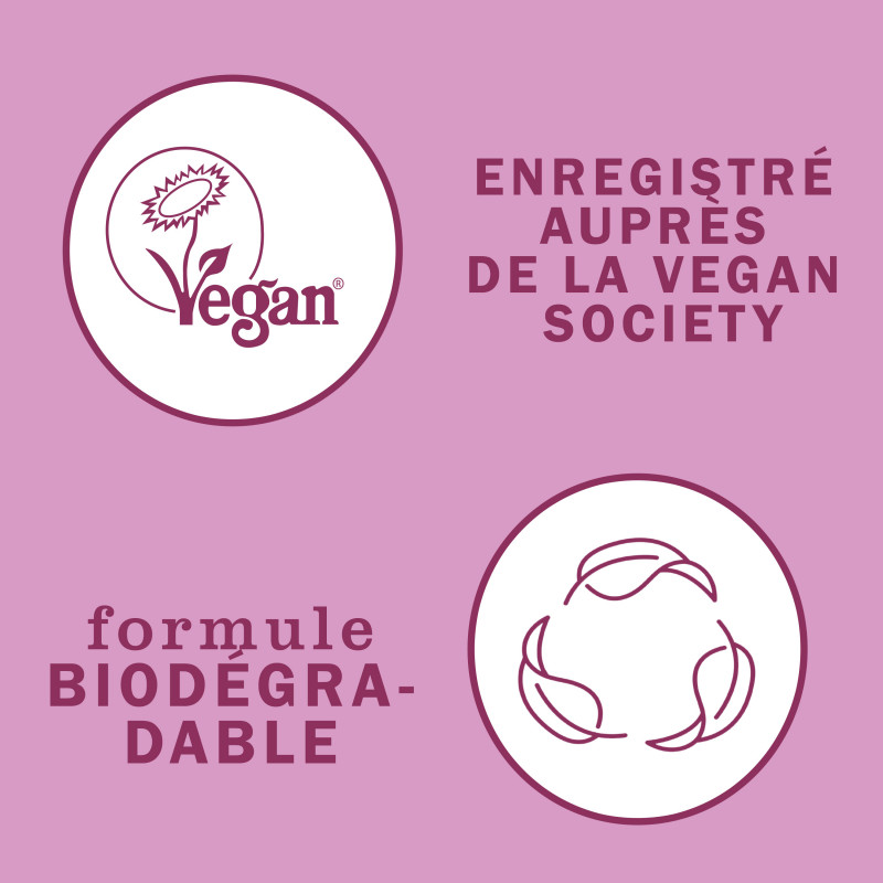 Meyer's - Pack de 6 Nettoyant Multi Surface Concentre Parfum Pivoine 946 Ml