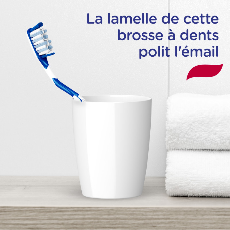 6 Brosses à Dents Signal Système Blancheur Eclat Intense Medium (Lot de 6 )