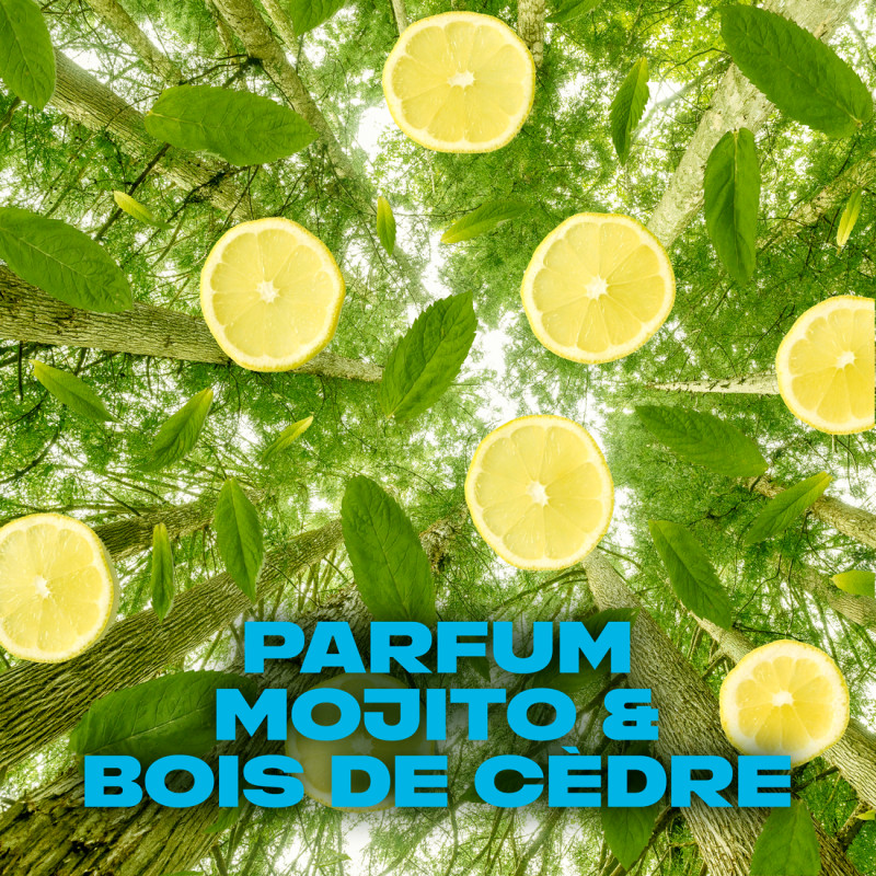 4 Gel Douche AXE Wild 12h Parfum Frais 250ml (Lot 4x250ml)