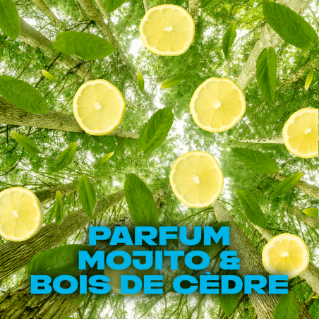 4 Gel Douche AXE Wild 12h Parfum Frais 250ml (Lot 4x250ml)