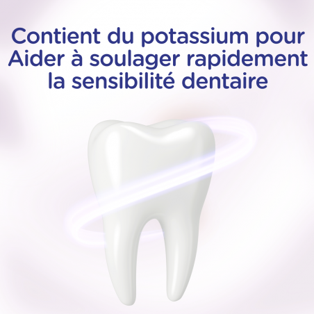 6 Dentifrices SIGNAL Integral 8 Expert Sensibilité (Lot 6x75ml)