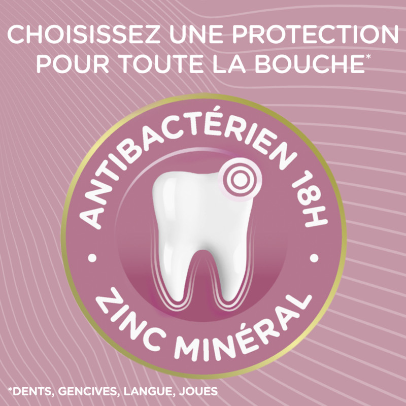 6 Dentifrices SIGNAL Integral 8 Expert Sensibilité (Lot 6x75ml)