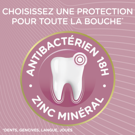 6 Dentifrices SIGNAL Integral 8 Expert Sensibilité (Lot 6x75ml)