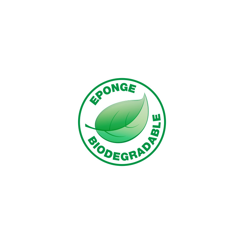 Pack de 10 - Spontex - 4 Éponges Passe-Partout