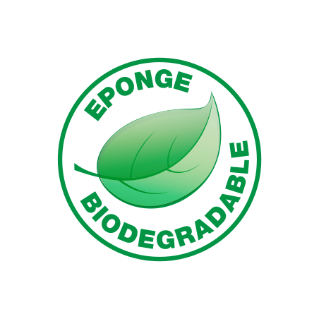 Pack de 10 - Spontex - 4 Éponges Passe-Partout