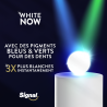 6 Dentifrices SIGNAL White Now Dentifrice Gold (Lot 6x75ml)