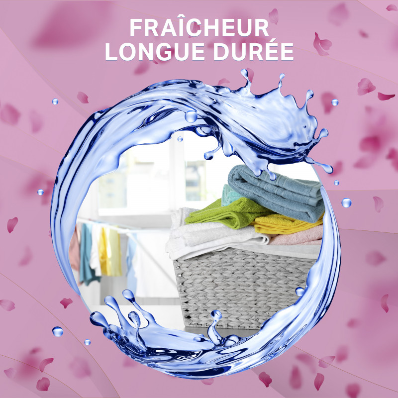 52 lavages - Capsules 3-en-1 SKIP Lessive Touche de Cajoline (Lot de 3x24)
