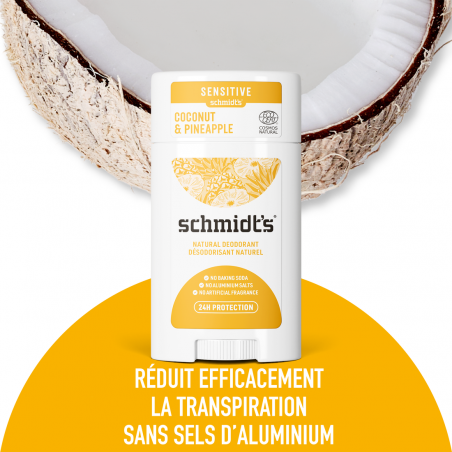 SCHMIDT'S DEO STICK 58ML COCONUT+PINAPPLE