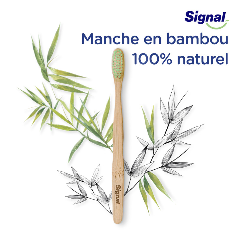 SIGNAL Brosse à Dents Bambou Naturel Medium x1