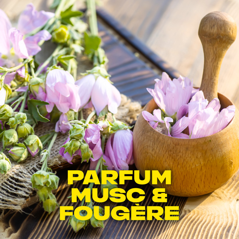 AXE Déodorant  Musk 200ml