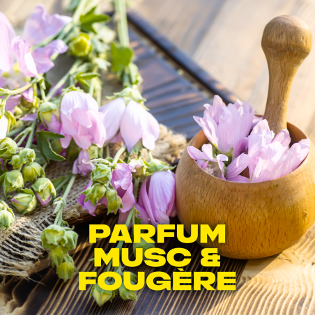 AXE Déodorant  Musk 200ml