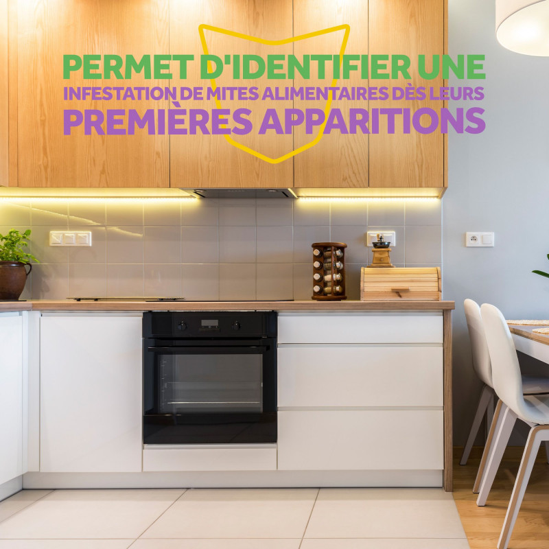 RAID ESSENTIALS PIEGES MITES ALIMENTAIRES SANS INSECTICIDES X3