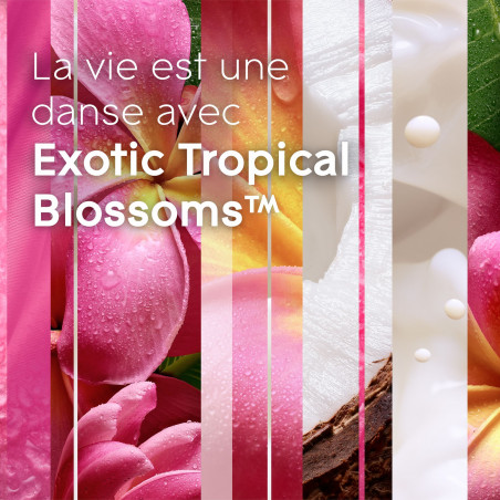 GLADE TOUCH & FRESH RECHARGE EXOTIC TROPICAL BLOSSOM - Infusé aux huiles essentielles