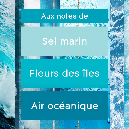 GLADE TOUCH & FRESH RECHARGE OCEAN ADVENTURE - Infusé aux huiles essentielles
