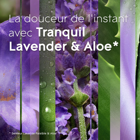 GLADE SENSE & SPRAY RECHARGE TRANQUILL LAVENDER & ALOE - Infusé aux huiles essentielles