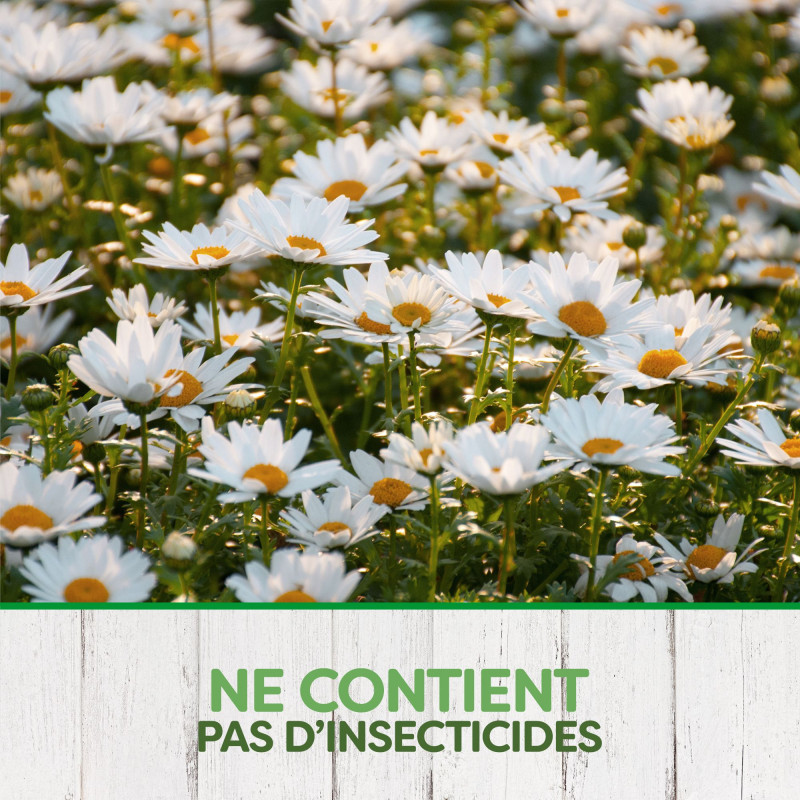 PYREL PIEGES CAFARDS ET POISSONS D'ARGENT SANS INSECTICIDES X5