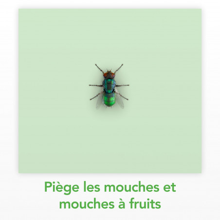 RAID ESSENTIALS PIEGE A MOUCHES ET MOUCHES A FRUITS - STICKER FENETRES SOLEIL BOUQUET FLORAL X6 RAID ESSENTIALS PIEGE A MOUCHES ET MOUCHES A FRUITS - STICKER FENETRES SOLEIL BOUQUET FLORAL X6
