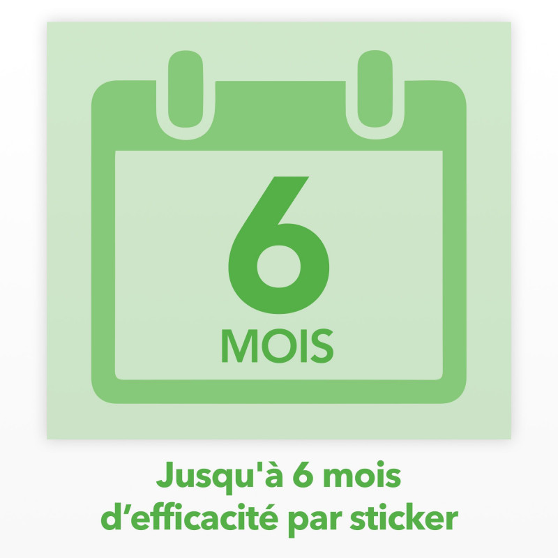 RAID ESSENTIALS PIEGE A MOUCHES ET MOUCHES A FRUITS - STICKER FENETRES SOLEIL BOUQUET FLORAL X6