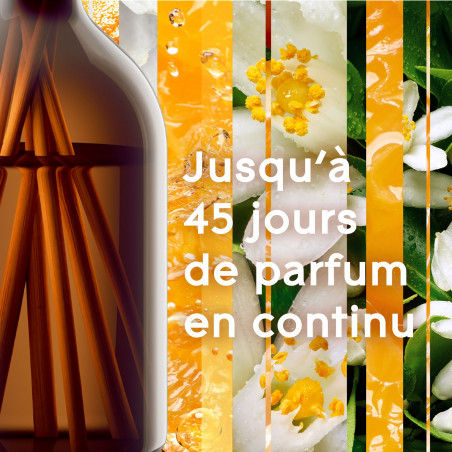 Glade® Aromatherapy - Bâtonnets - PURE HAPPINESSTM Orange & Néroli X 2
